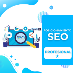Posicionamiento SEO Profesional (Mensual) | Inicio | Maestros del Click | Agencia Seo y de Marketing Digital